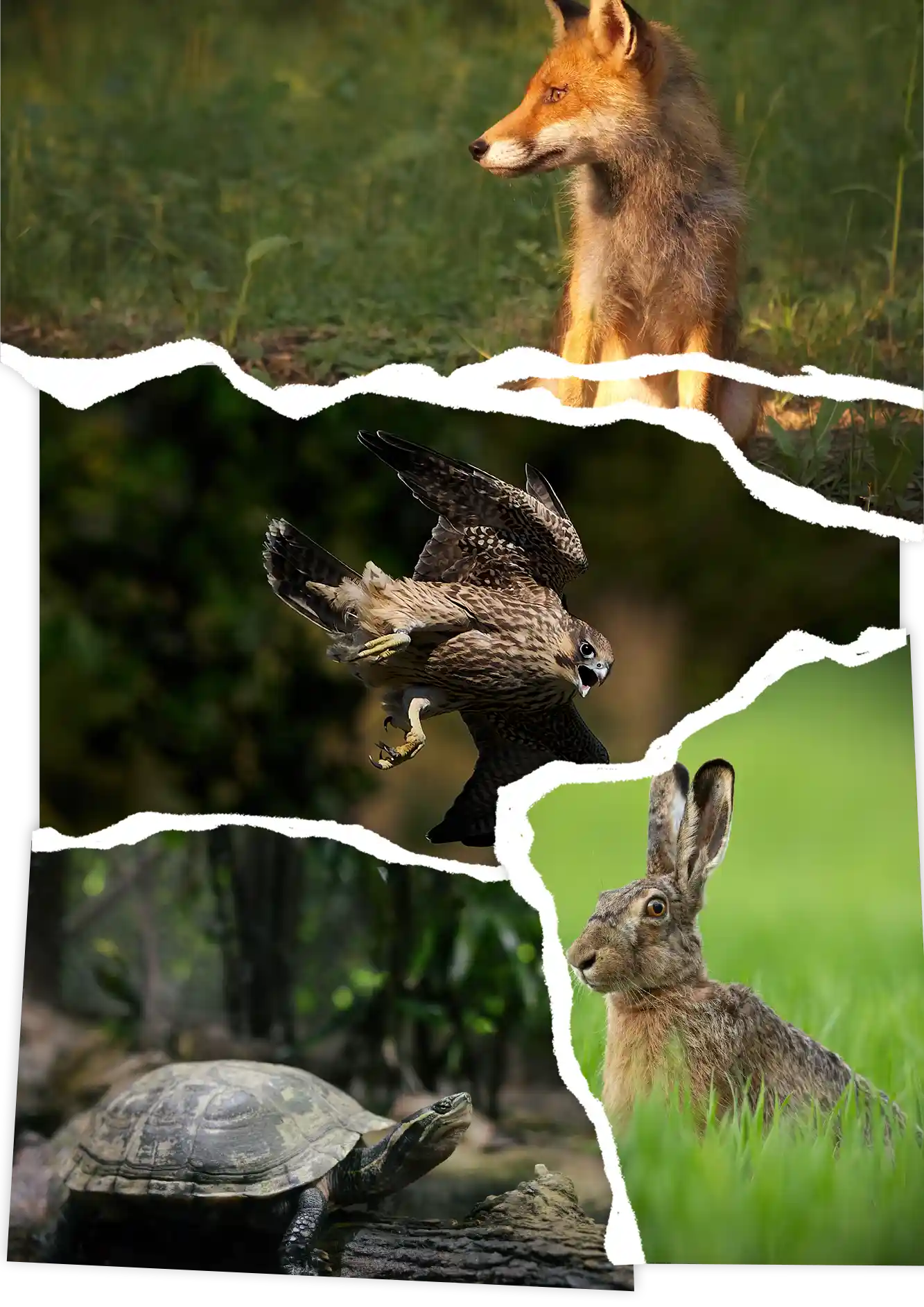 Loutraki Fire Τα Γεράνεια Όρη